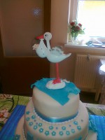 /album/torty-mamyomy/a231120131221-jpg2/